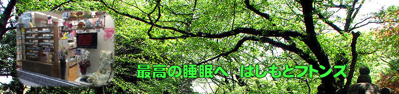 2026�N����₩�����e�i���X�Z�[�� SleepingPosition-HomeLab