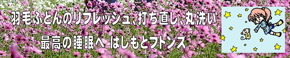 メンテナンスセール,打ち直し,丸洗い,羽毛ふとんの修理