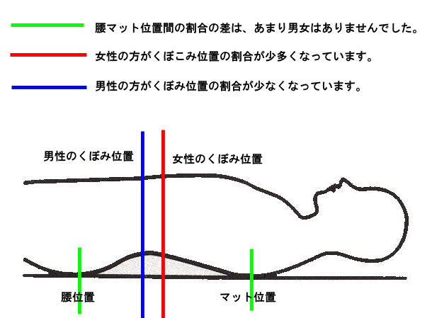 腰のくぼみ位置の男女差
