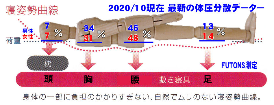 最新の体圧分散データー 2020/10現在男女別
